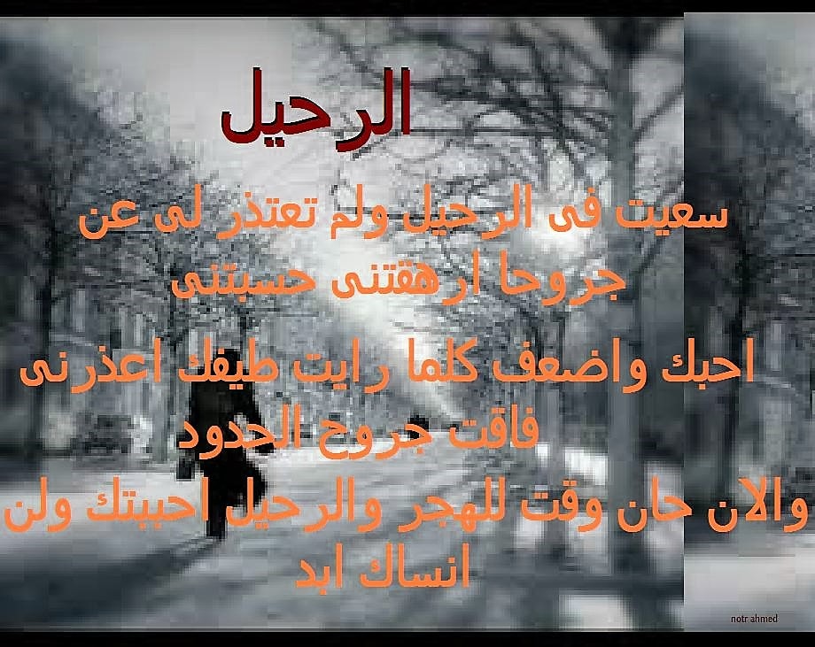 رسالة وداع للحبيب - اقول ايه لحبيبي في اصعب لحظات عمرنا 2058 5