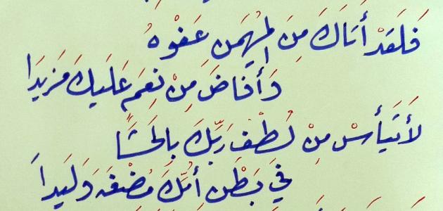 خواطر ايمانية جميلة - كلام اسلامي معبر و مؤثر 7177 2