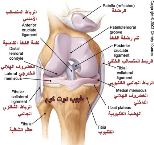 علاج الام الركبة - الام الركبة وكيفية علاجه 3445 3