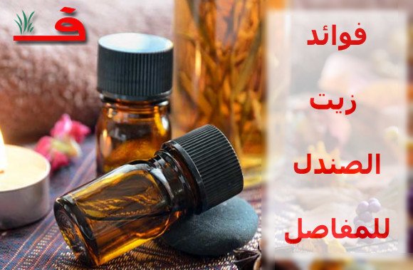 فوائد زيت الصندل - عطر مذهل جدا يستخدم في كل كثير من الاستخدامات 2193 3