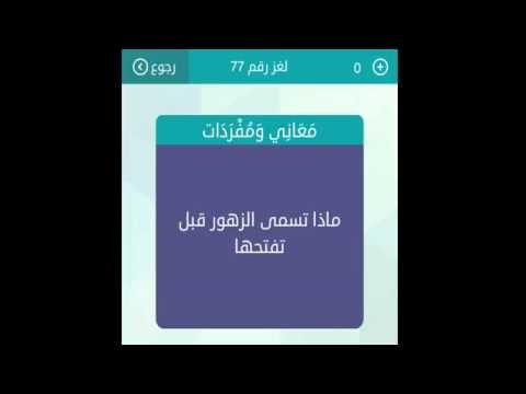 الزهور قبل تفتحها