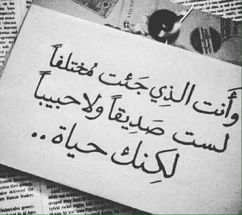 قصيدة رائعة عن الصداقة - الصداقة اجمل علاقة 518 9