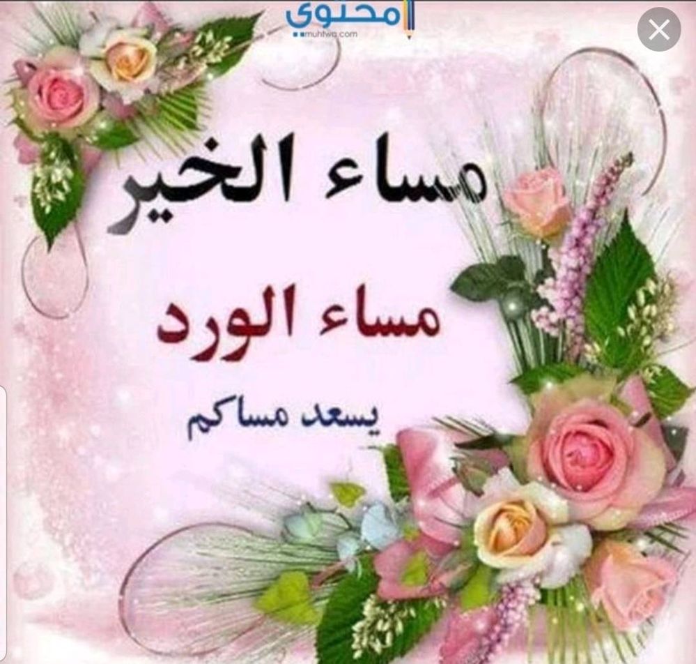 مساء الورد للغالين 88 5