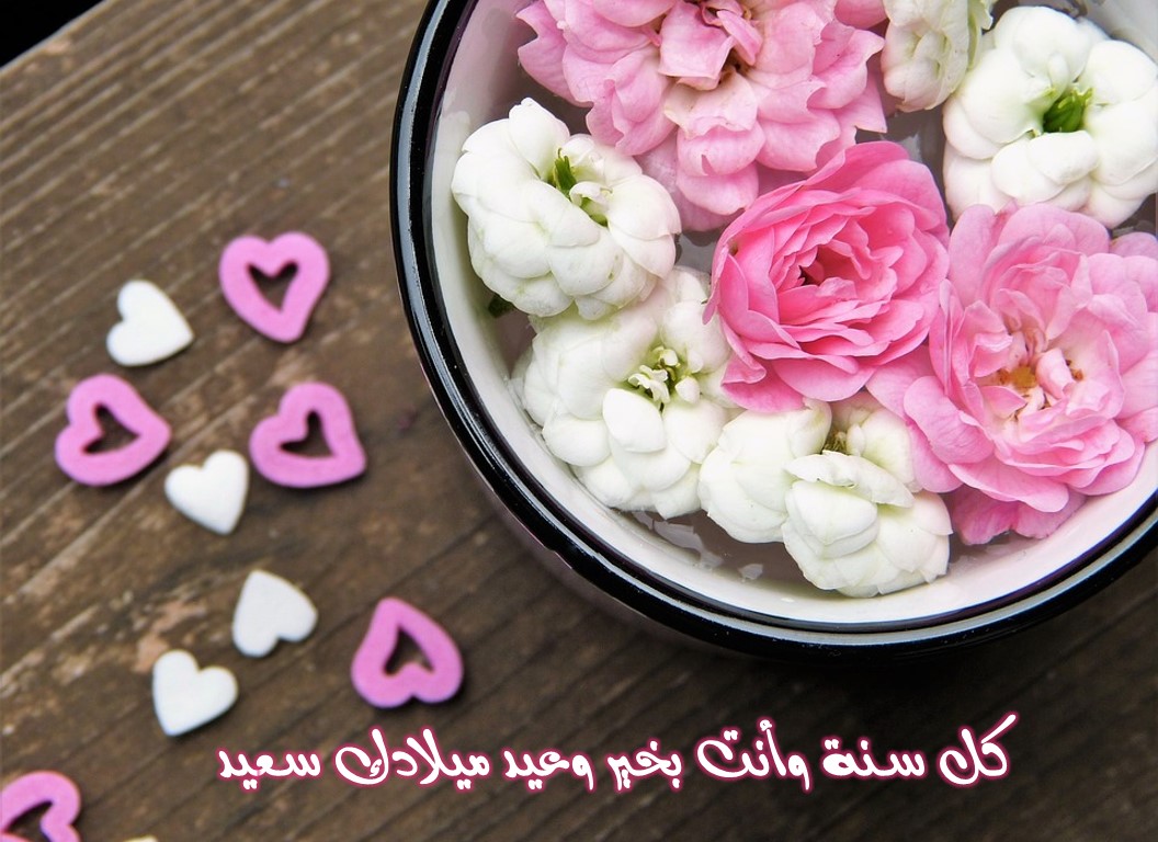 تهنئة بمناسبة عيد الحب , اجمل تهنئه بعيد الحب