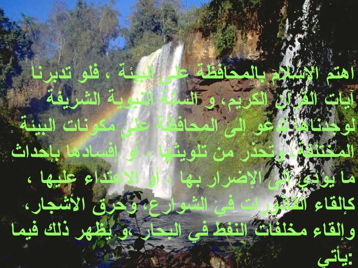 خواطر عن البيئة - ازاي نحمي بيئتنا 355 10