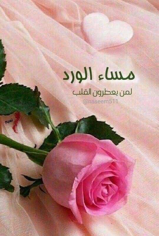 شعر المساء للاصدقاء 746 1