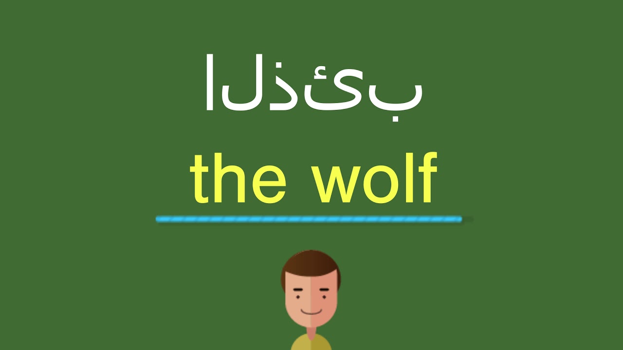 اسم الذئب بالانجليزي - The Wolf الكلمة المرعبة 1125 11