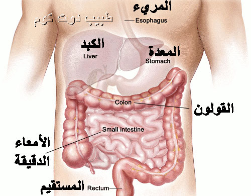 اعراض تهيج القولون , علاج تهيج القولون