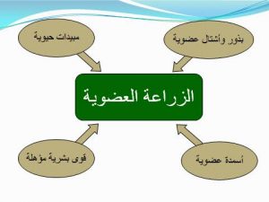 معلومات عن الزراعة العضوية , معلومات عن المركبات والكربونات العضويه الزراعه