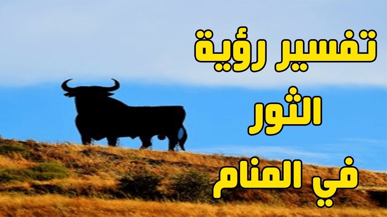 الثور في الحلم 962 3