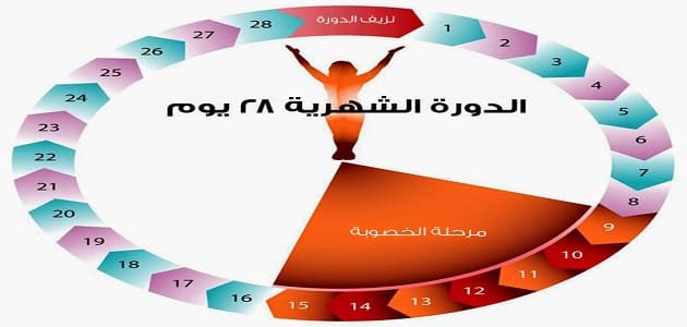 هل يحدث الحمل بعد الدورة , متى يحصل الحمل بعد الدورة الشهرية