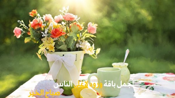 صباح الحب بالصور - صور صباح الحب رائعة 3527