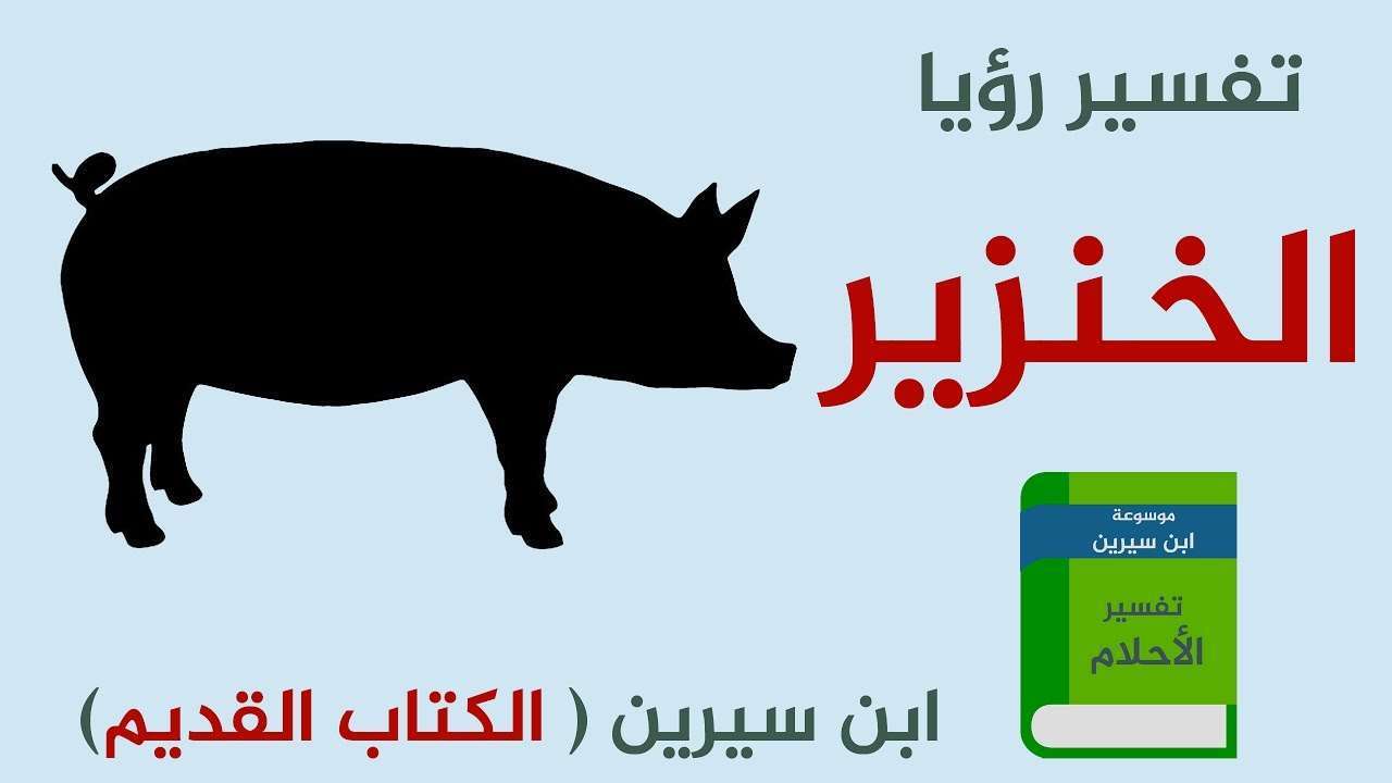 خنزير في المنام , تفسير رؤيه الخنزير في المنام