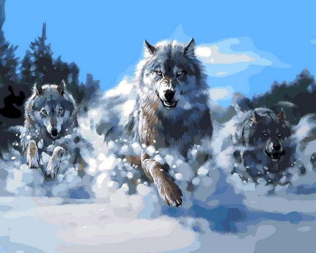 اسم الذئب بالانجليزي - The Wolf الكلمة المرعبة 1125 7