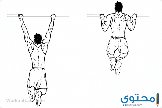 تمرين عضلة الظهر - مظهر جميل لعضلة الظهر 3089 2