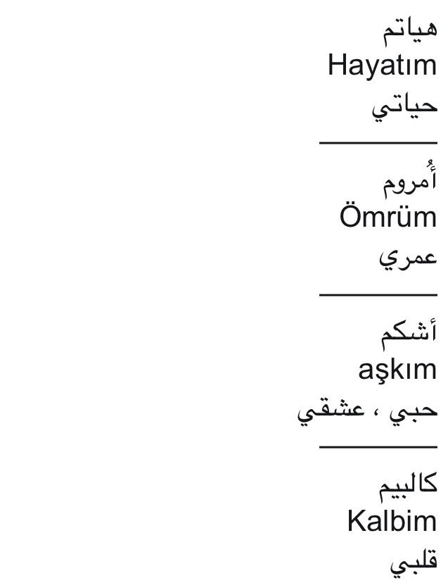 كلمة حياتي بالتركي - كلمات رومانسية بالتركي 1113 2