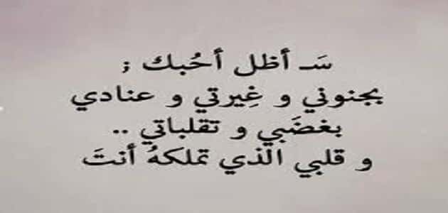 اجمل ماقيل في العشق - كلام حب للعشاق 7148 11