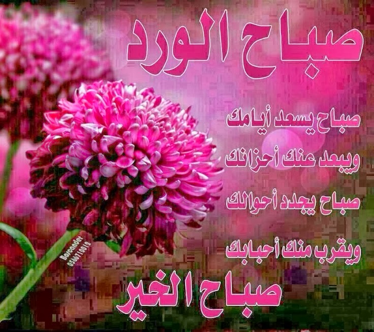 صور الصباح الخير - في كل يوم جديد جميل كلمات وبوستات معبرة 2373 4