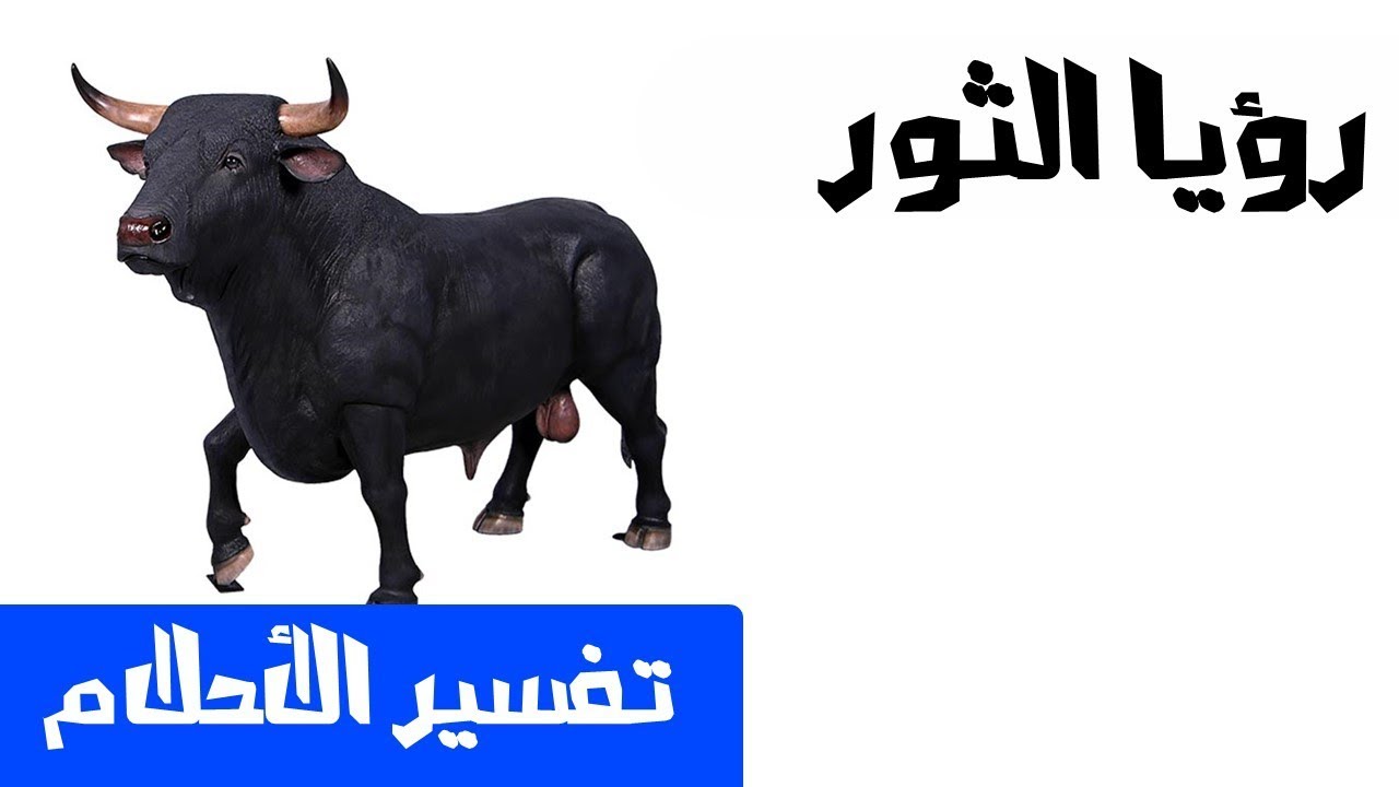 الثور في الحلم 962 2