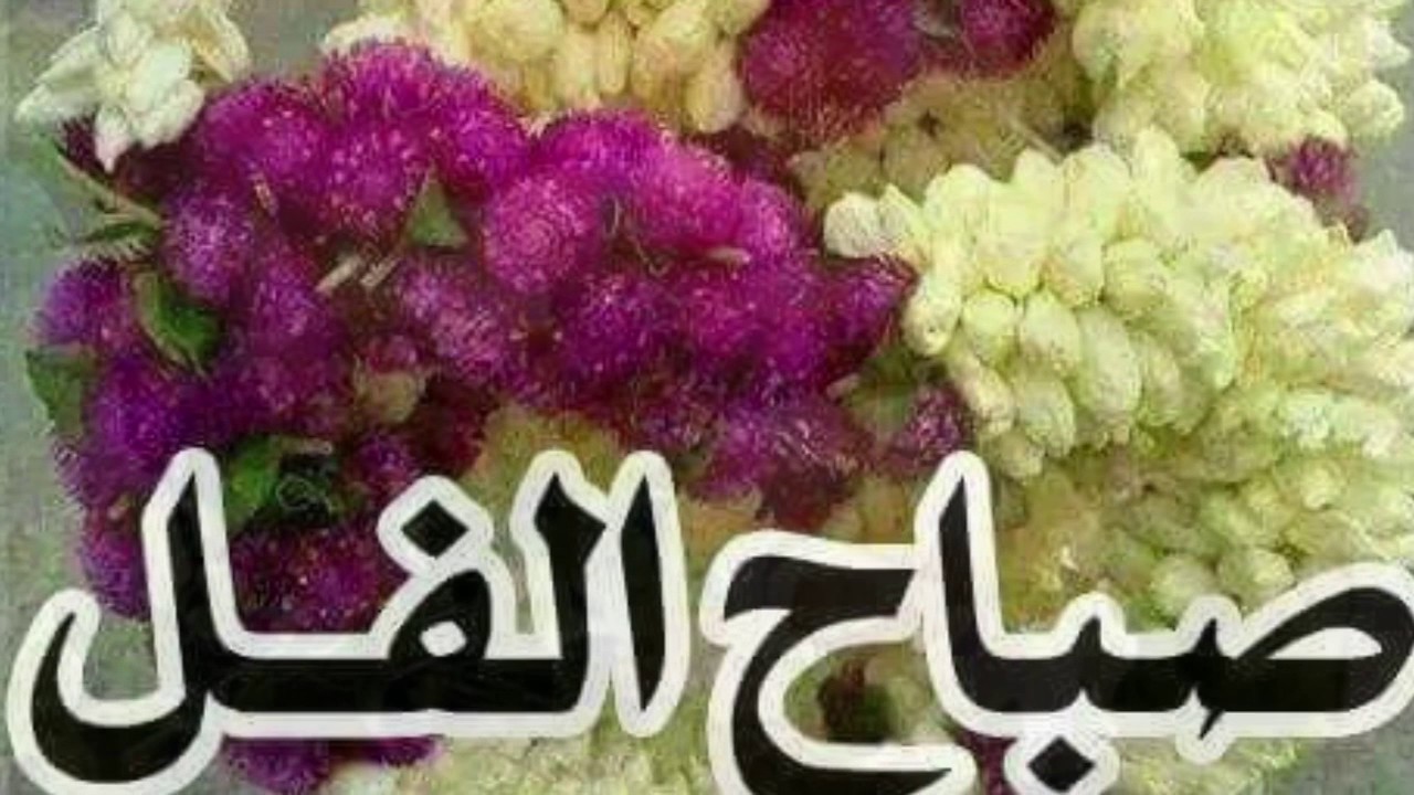 صباح الفل صور - احدث البوستات الصباحيه 1095