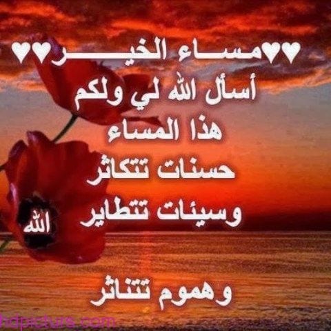 شعر المساء للاصدقاء 746 2