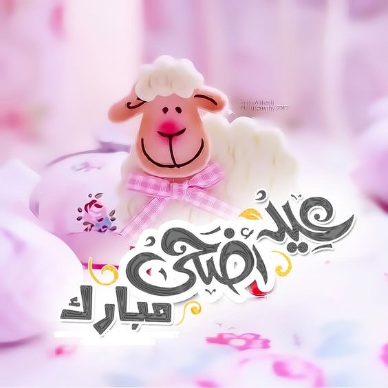 صور خروف عيد الاضحي - اشكال وصور لخروف العيد 3272 2