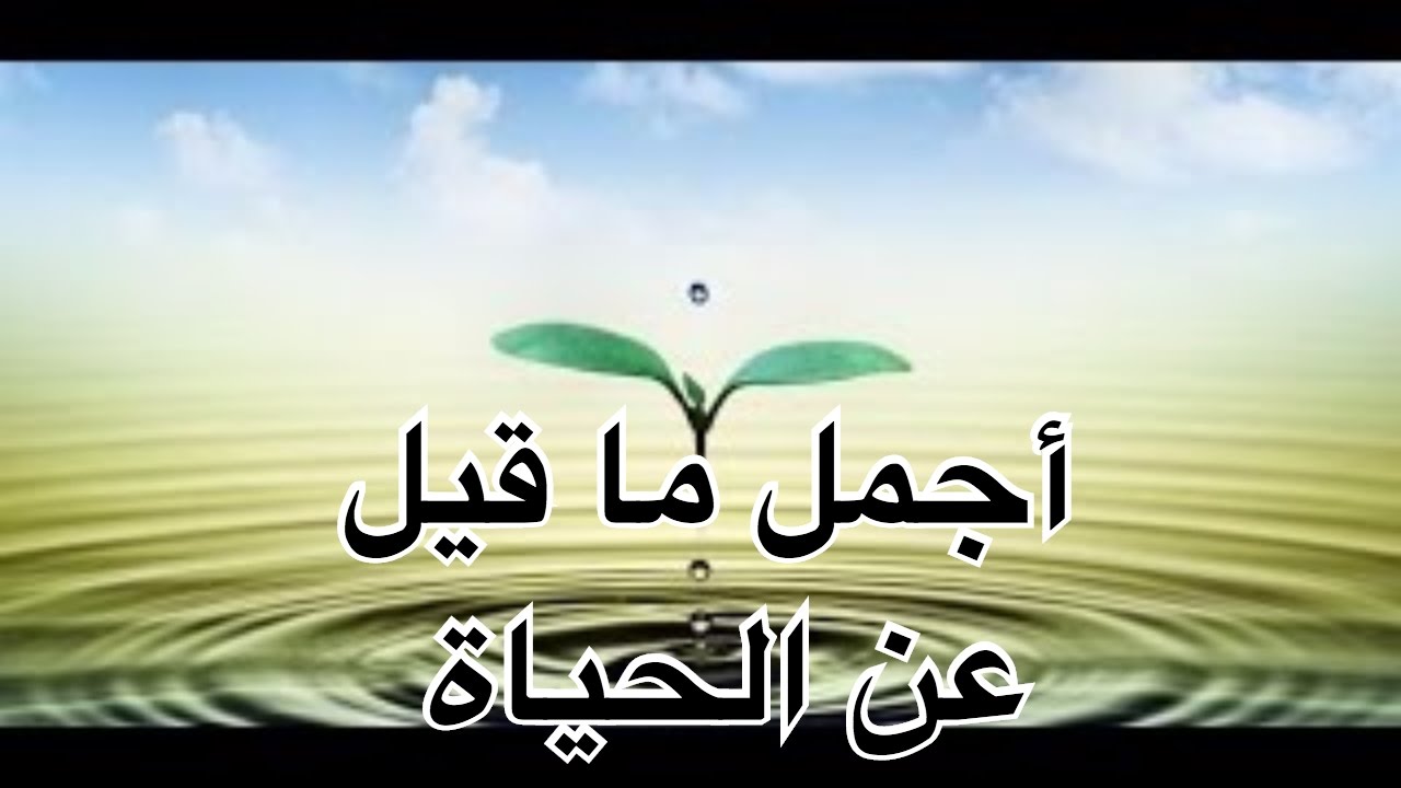 من اروع ما قيل عن الحياة , اجمل كلام عن الحياه