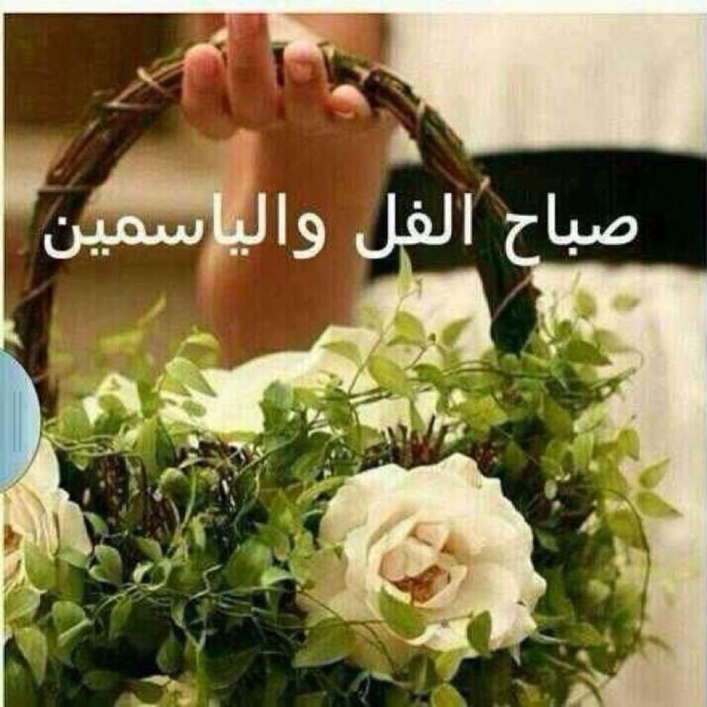 صباح الفل صور - احدث البوستات الصباحيه 1095 3