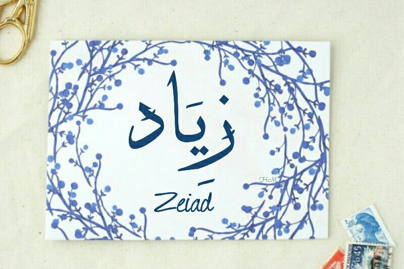 ما معنى اسم زياد - صفات حامل اسم زياد 7389 1