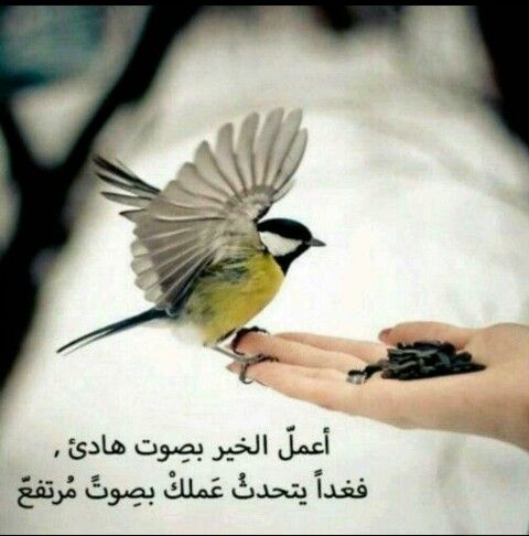 صور حلوة ومميزة - احلى صور مميزه 3012 1